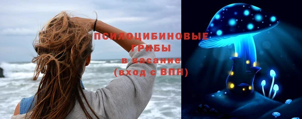 apvp Остров