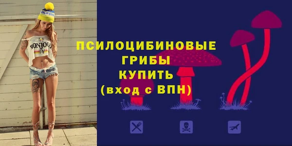 apvp Остров