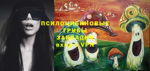 apvp Остров