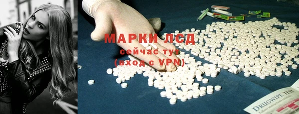 трава Осинники