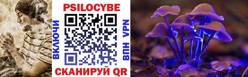 купить закладку  Суоярви  площадка наркотические препараты  Псилоцибиновые грибы GOLDEN TEACHER 